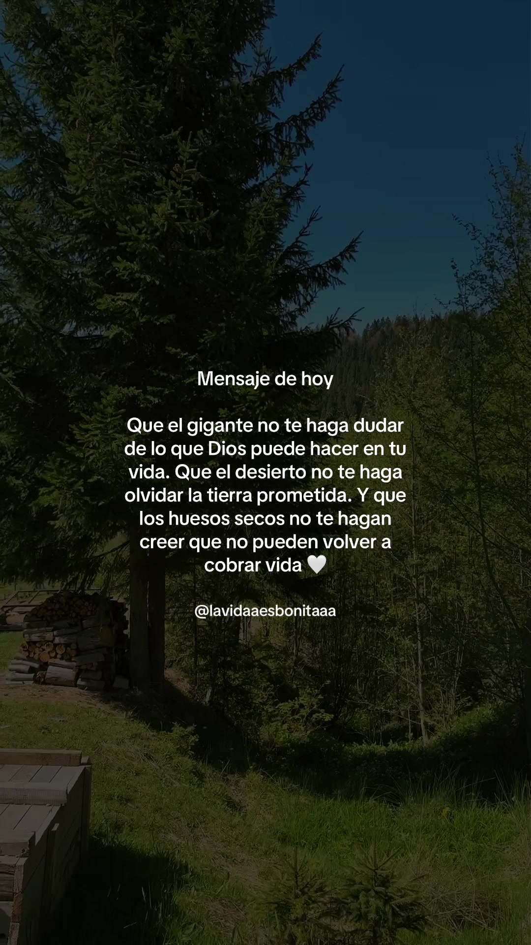 @vidabonita❤️🩹