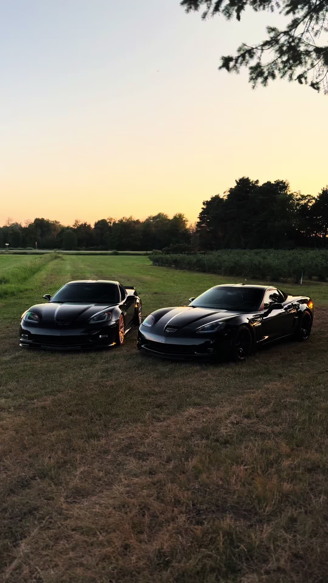 @traxxopp