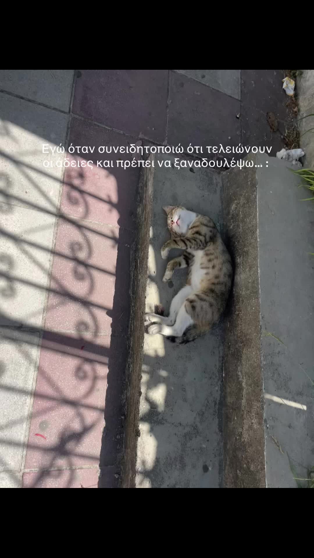 @Ανναμαρία Παπαθεοδώρου