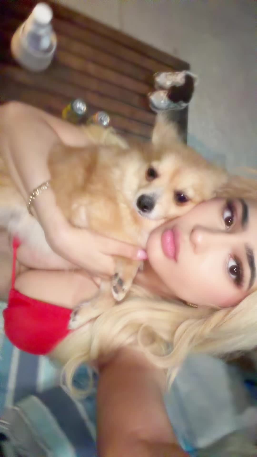 @Ari