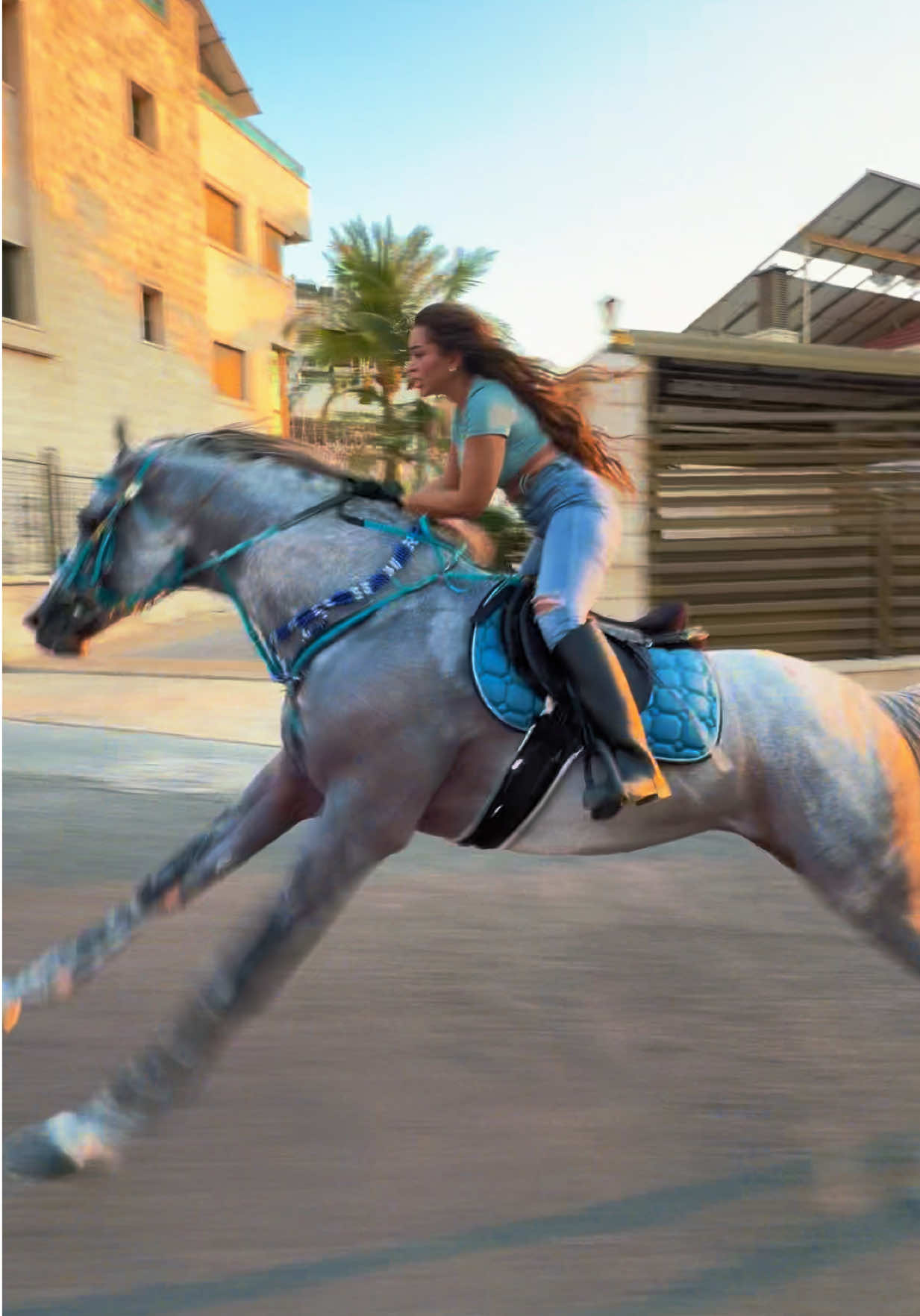 @لــيــن🐎