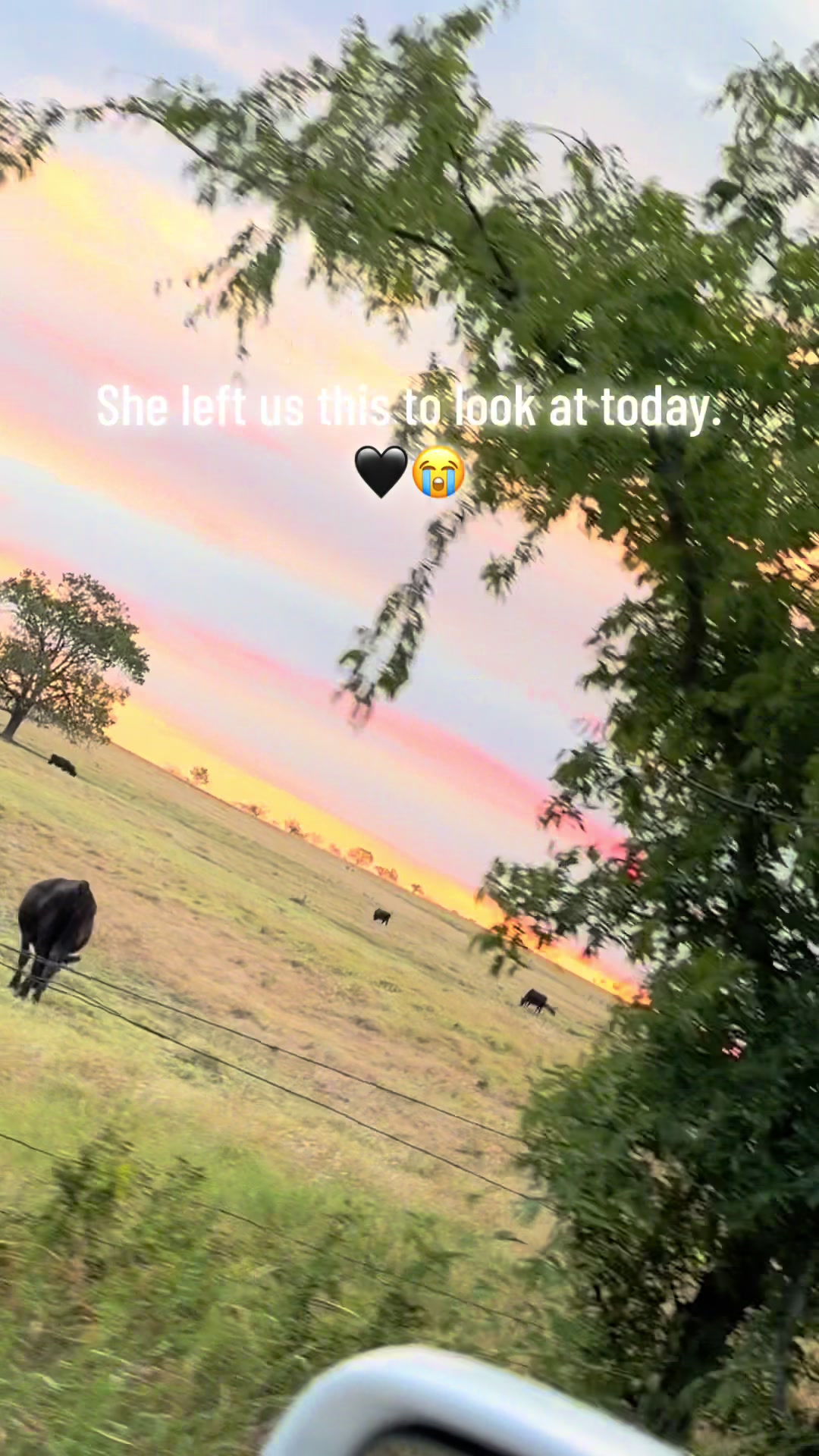 @Raven🐦⬛✝️