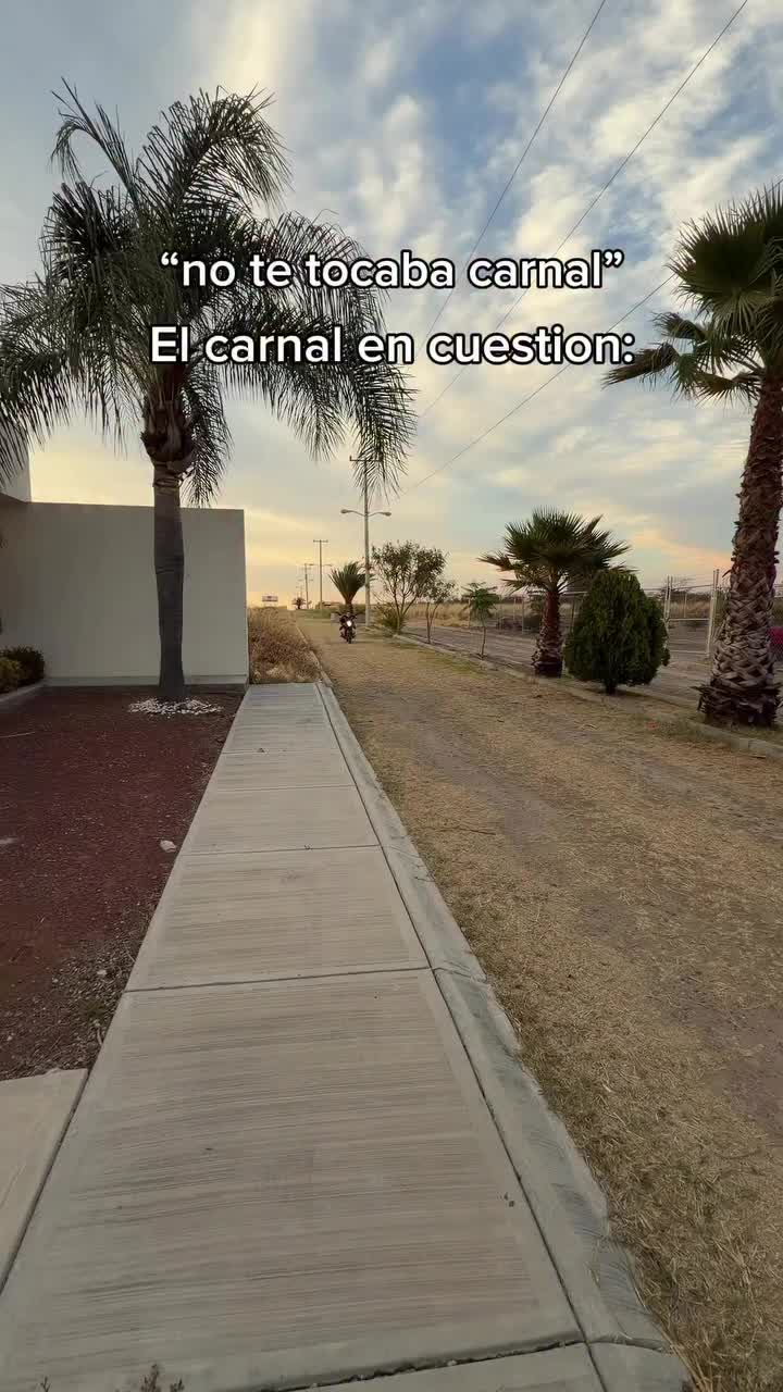 @emicanico