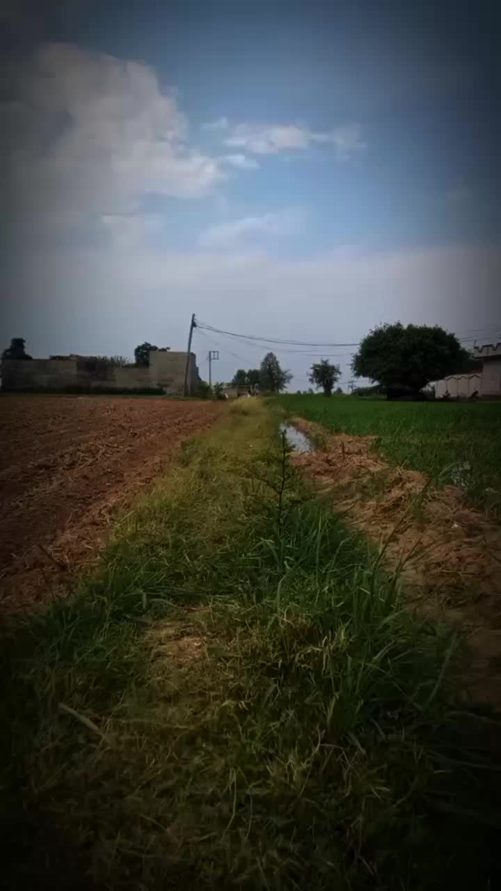 @🚷