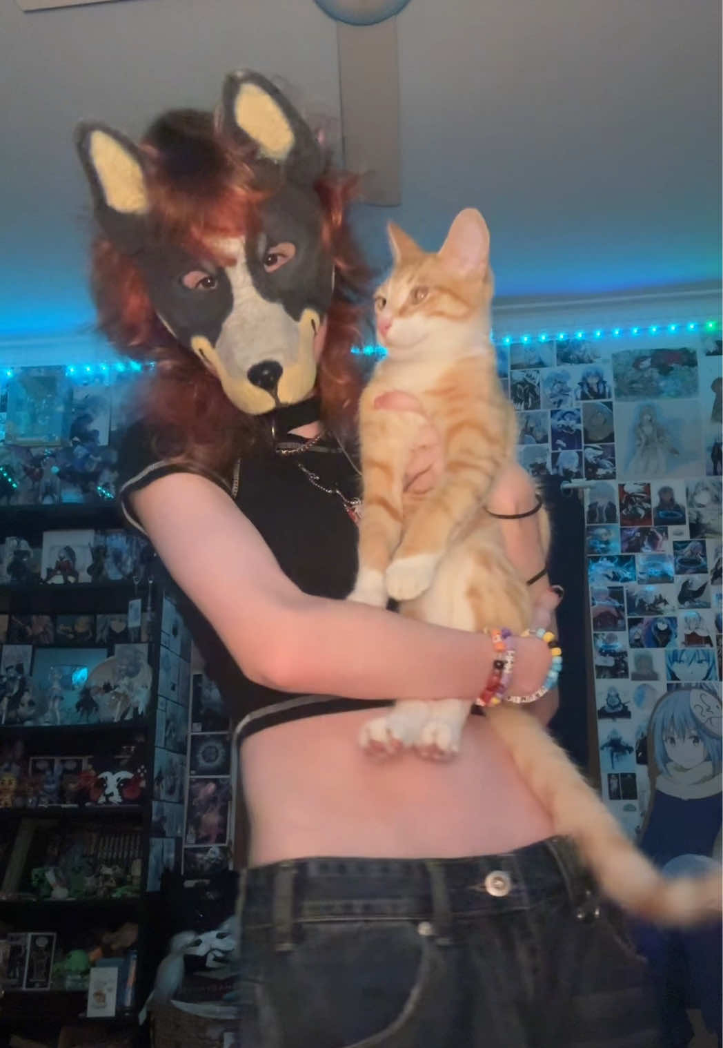 @☆🦇🄶𝐄𝐂𝐊𝐎🦇☆