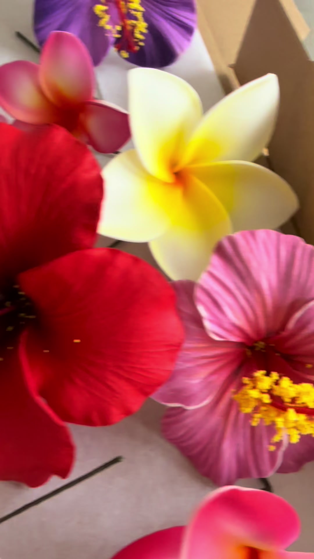 @Island Aesthetica 🌺