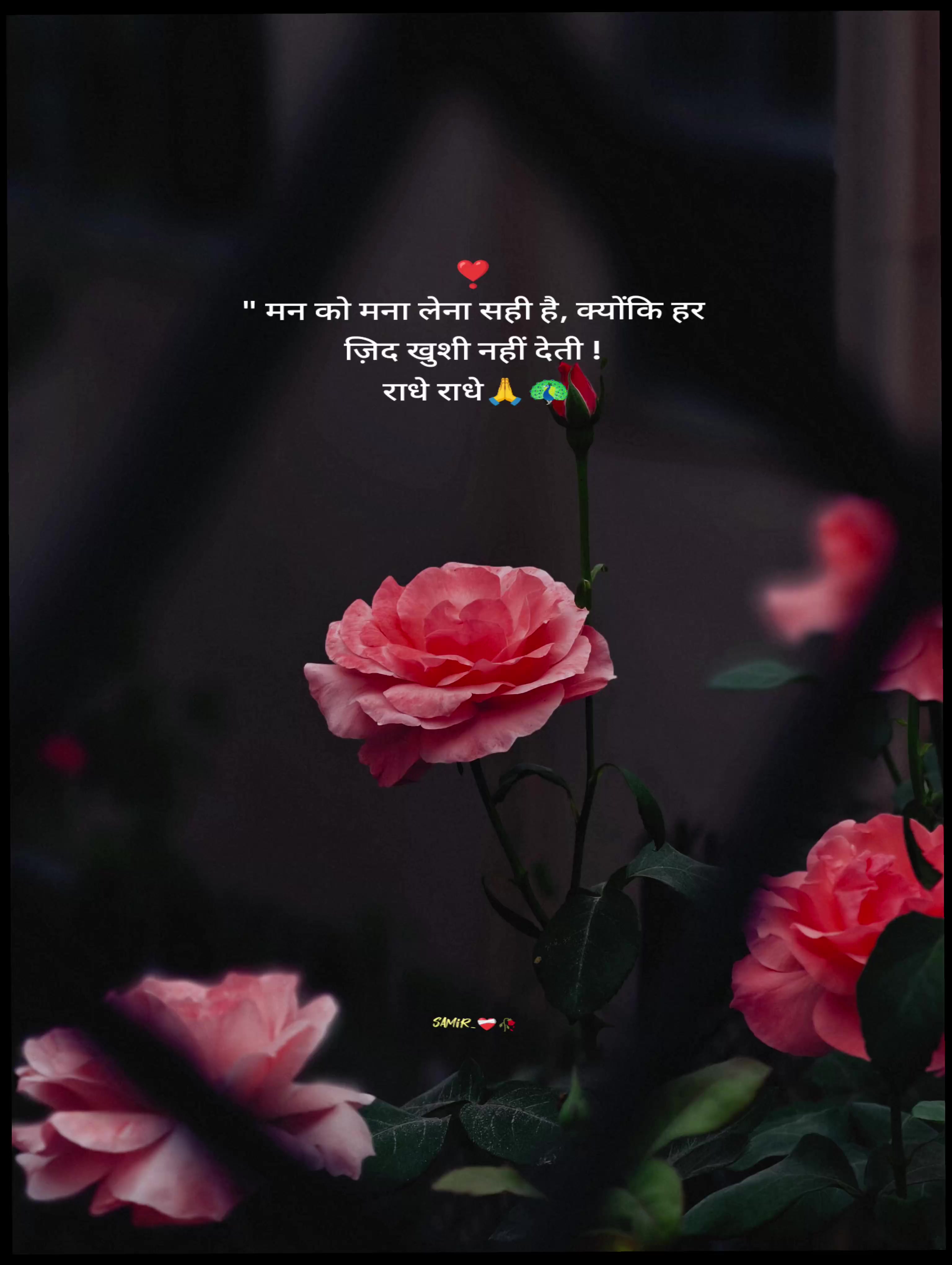 @💞🇳🇵SaMiR_SaH🇳🇵💞