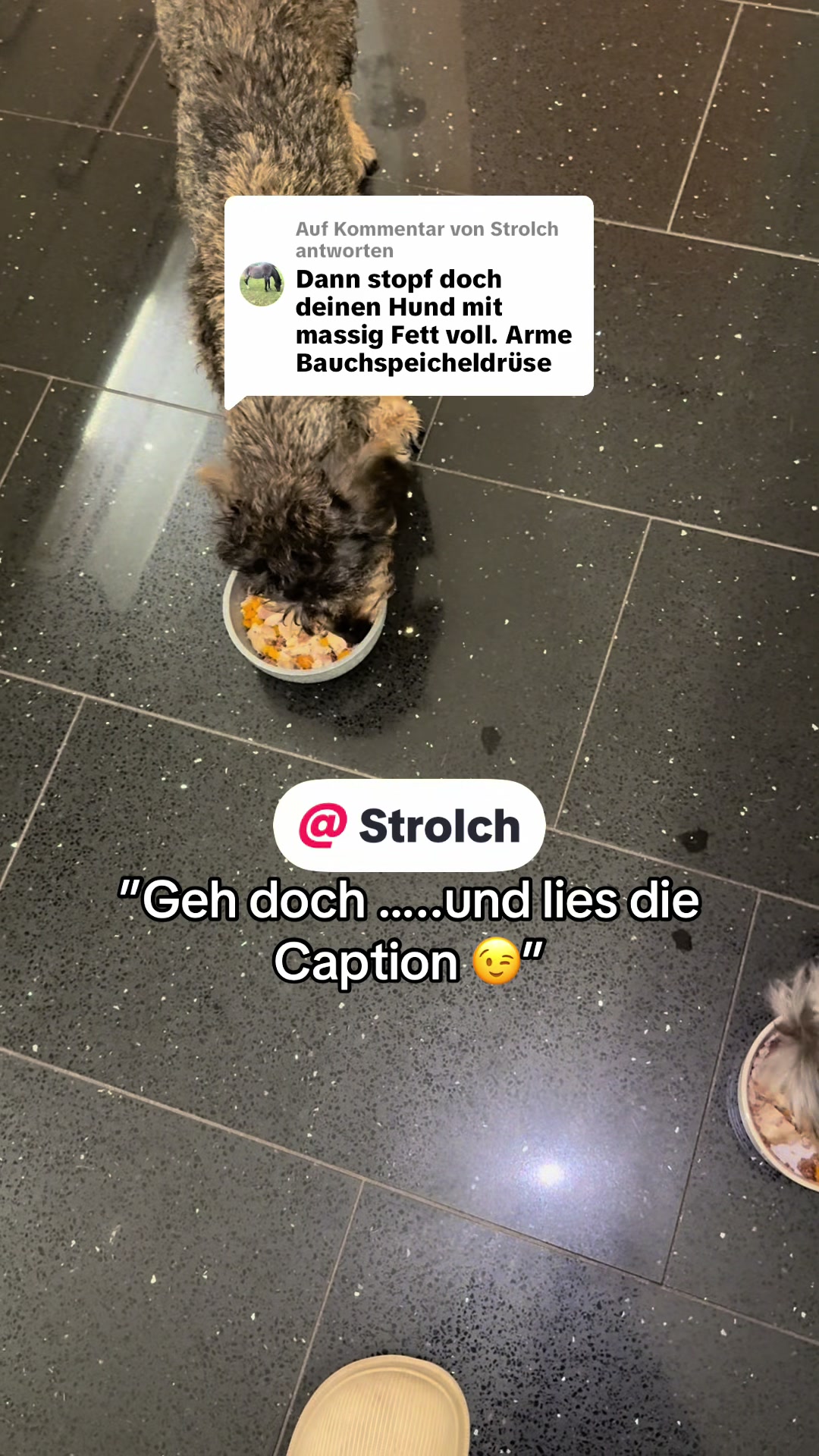 @Ichschützekinderundtiere
