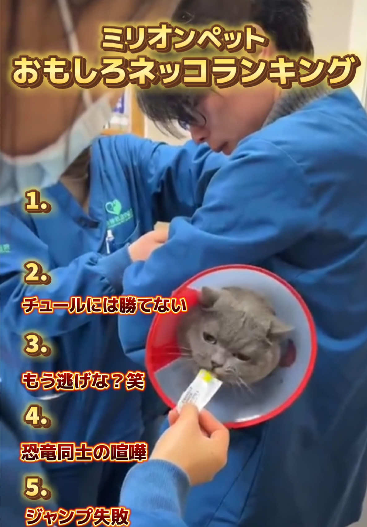 @ミリオンペット