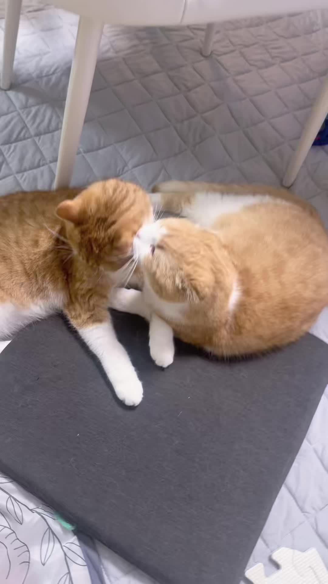 @マロン