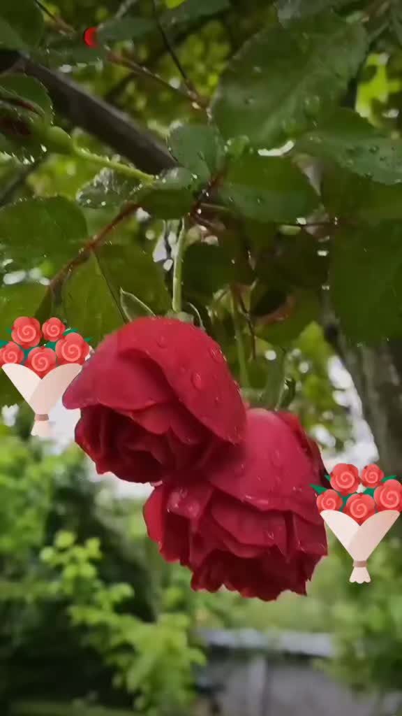 @படுவான் மண்ணின் மைந்தன்