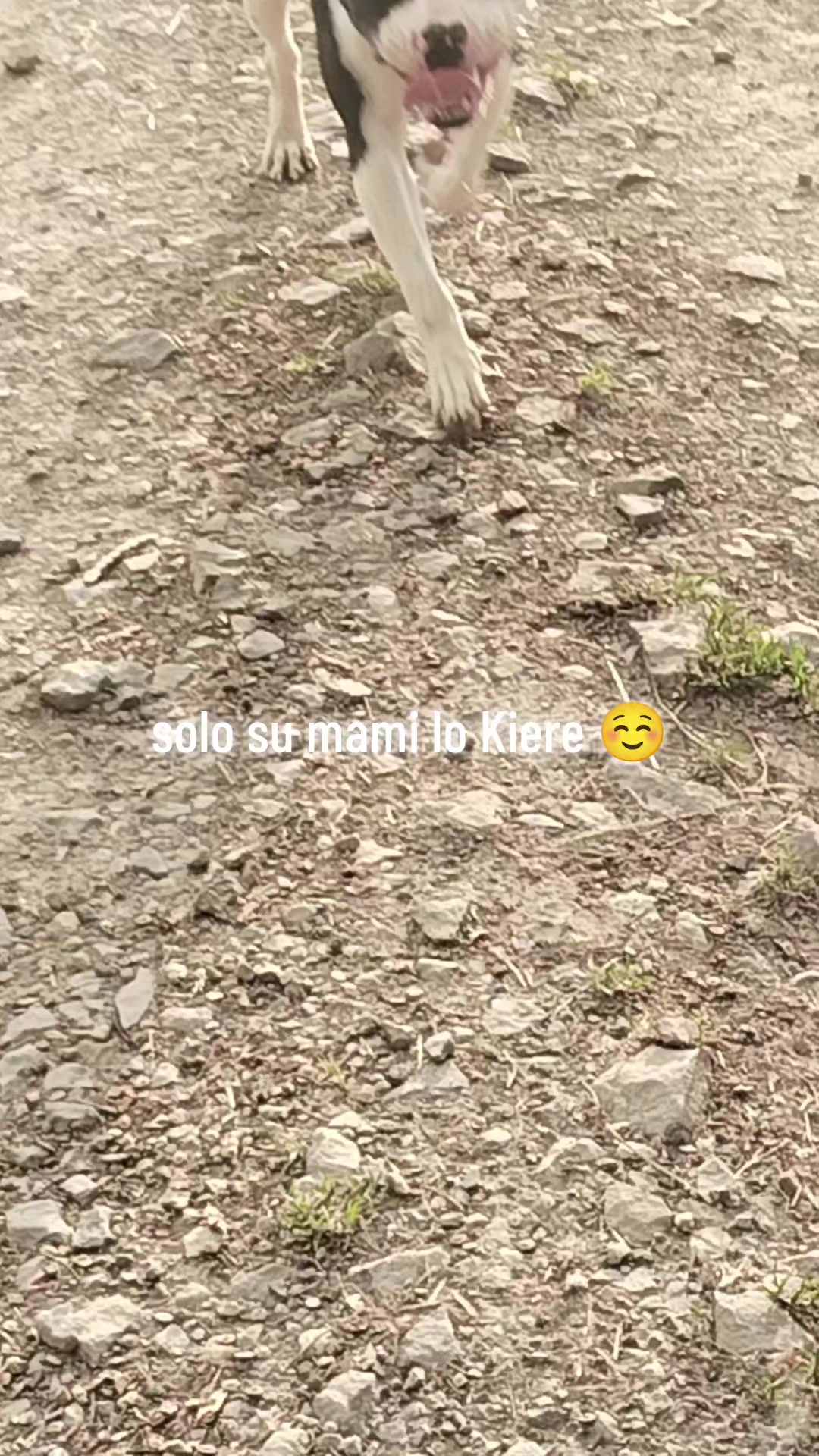 @Vero Rrodriguez