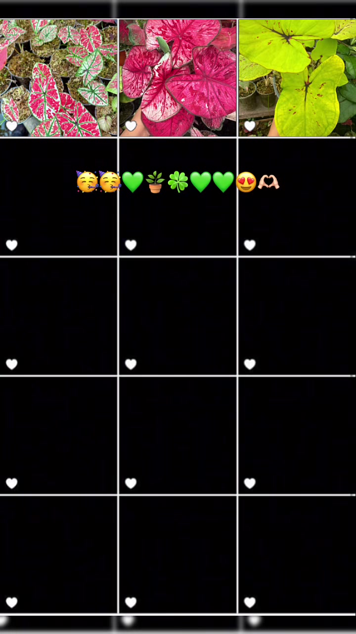 @Gianna.Plants 💚🍀🪴🇵🇪