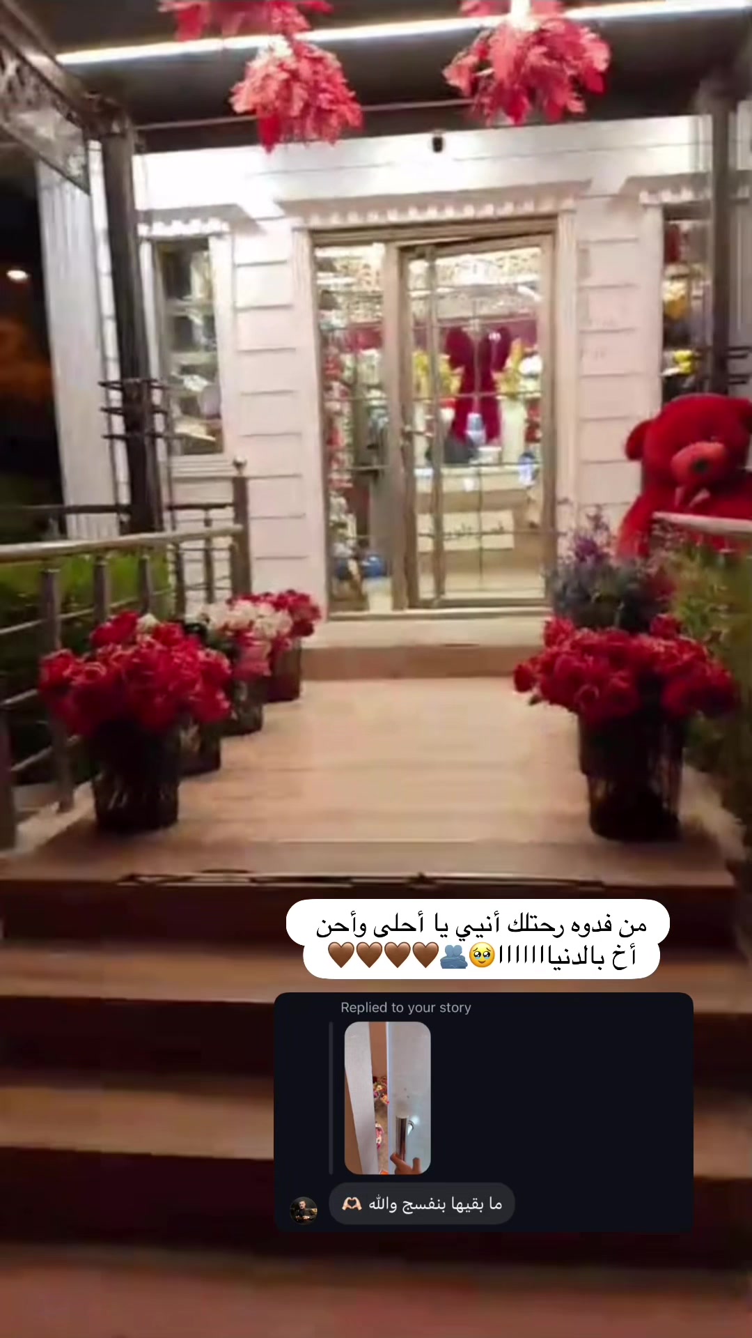 @Nosha-Muayad⚖️🦋