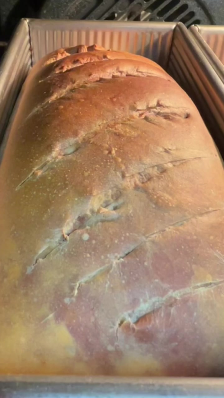 @SourDoughBrooo