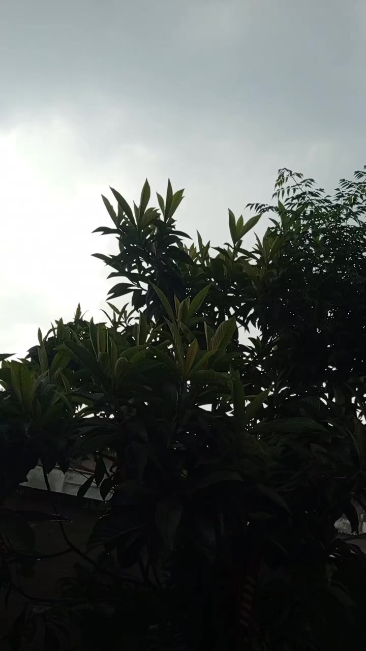 @꧁❤•༆$ꪖ𝓲ꪑꪖꪀꪖɀ𓆩༢࿔ྀુ