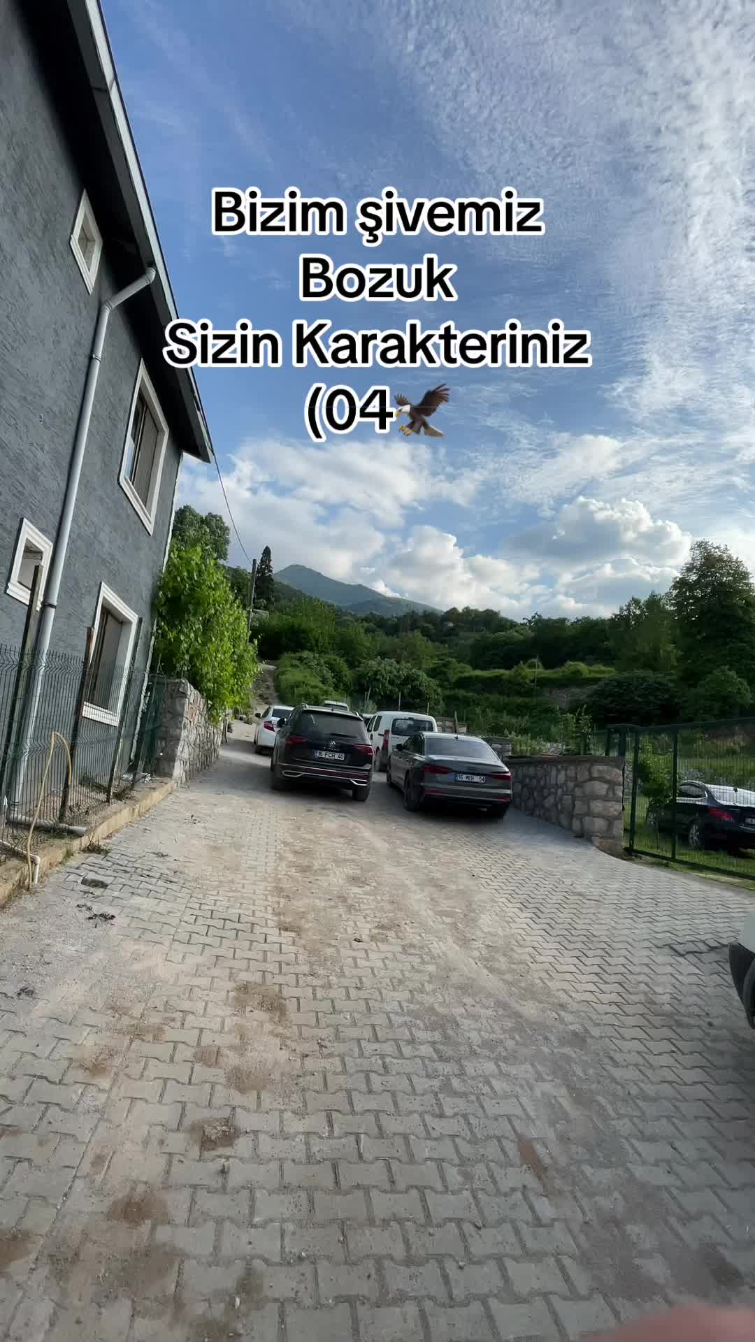 @emiryamann16