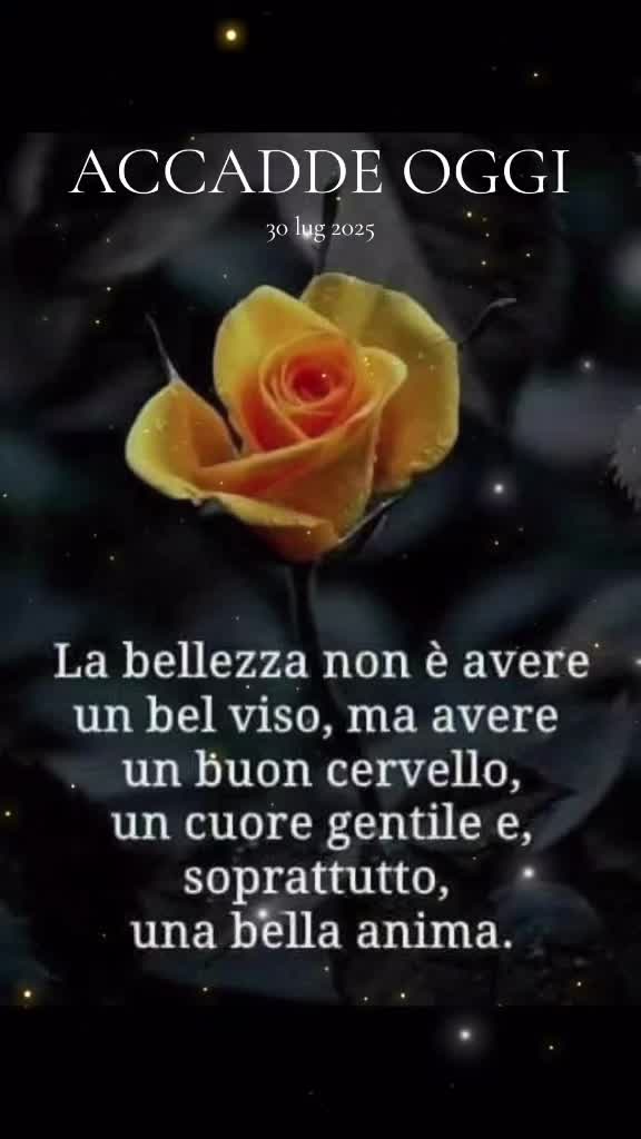 @Anima Nera