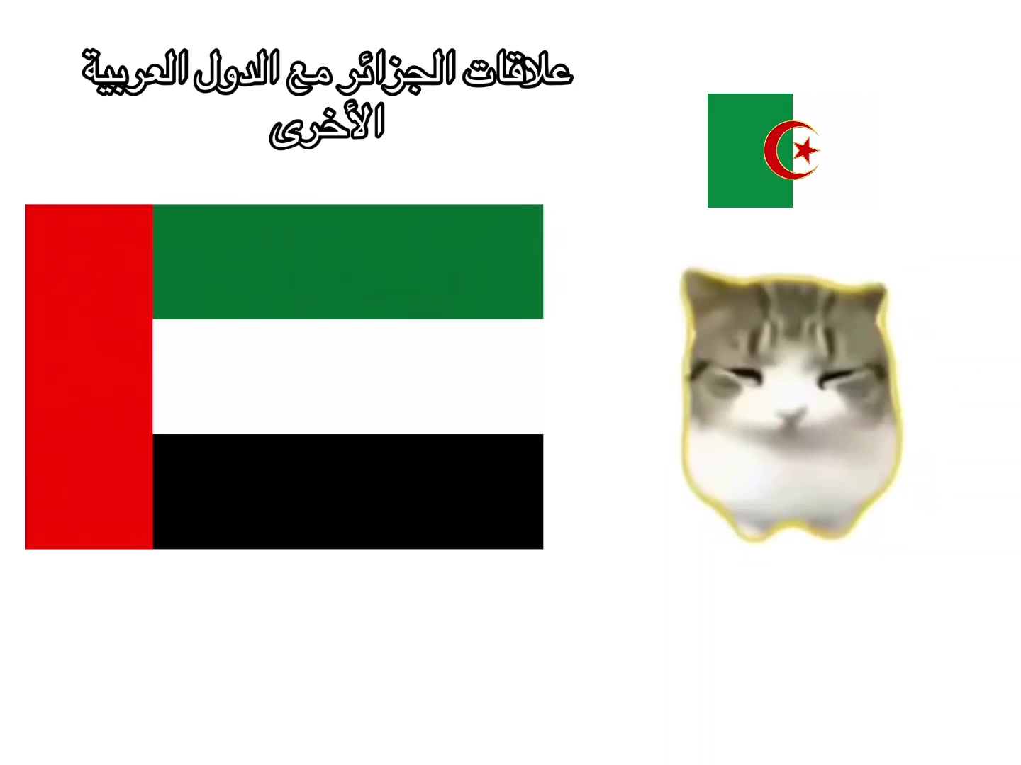 @🇩🇿🇵🇸
