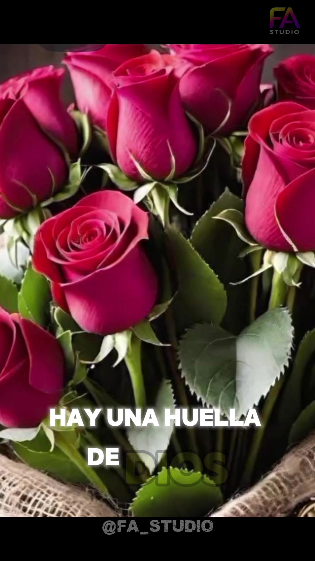 @Maria Romano