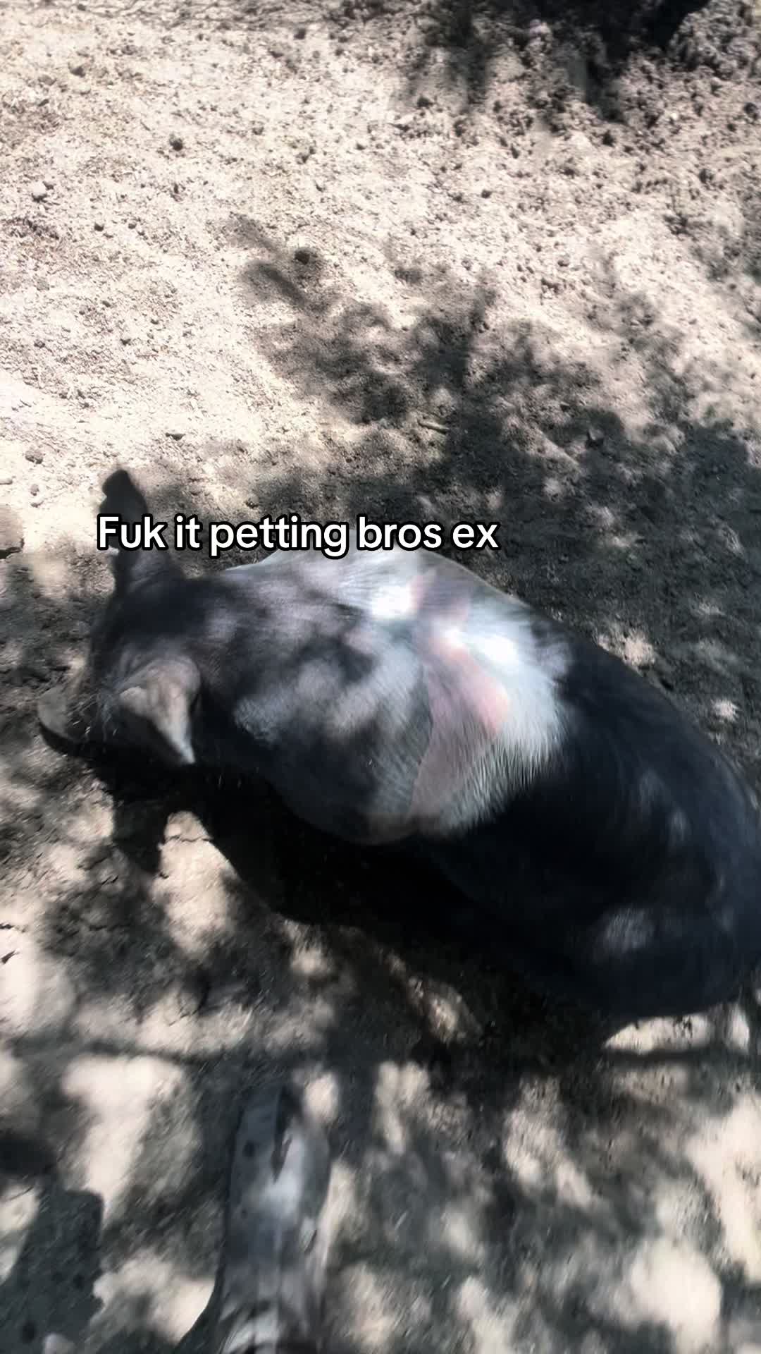 @fishingwithblake_