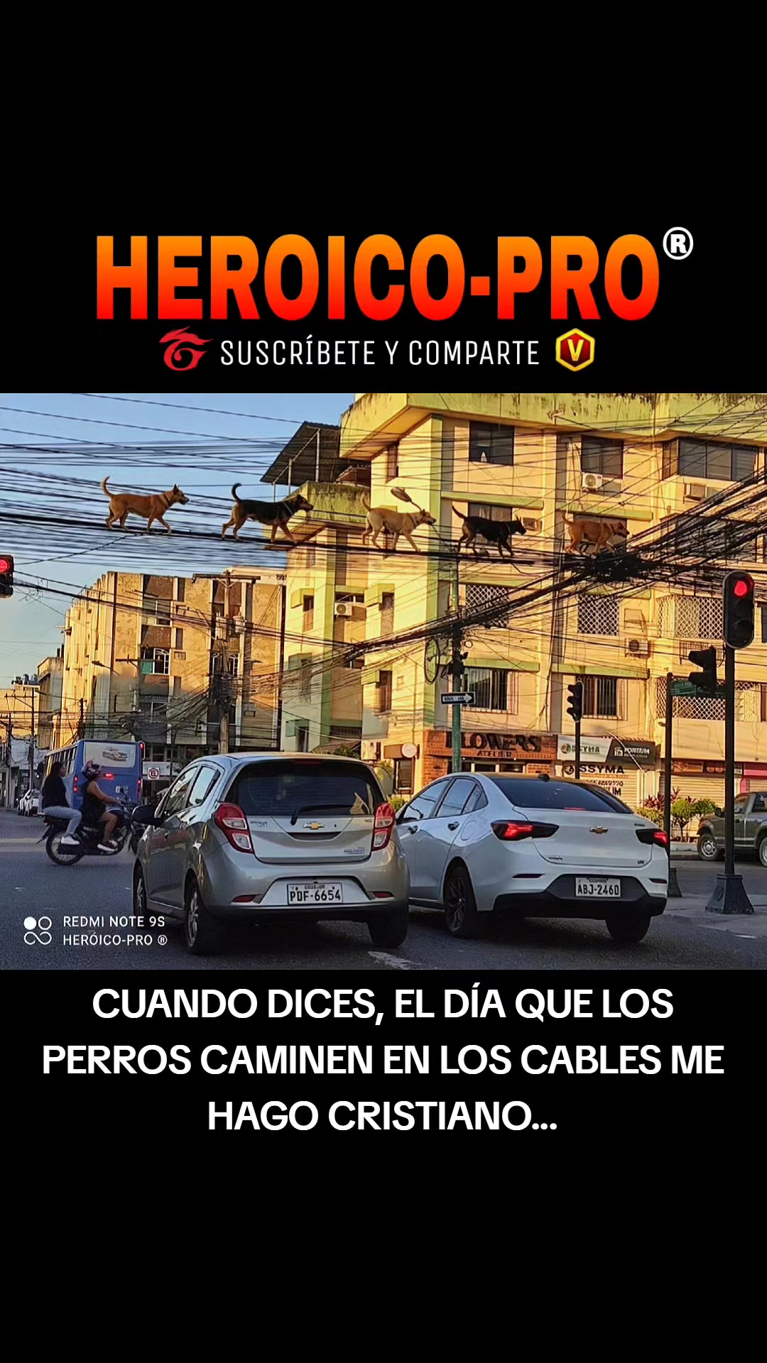 @HEROICO-PRO®🥏