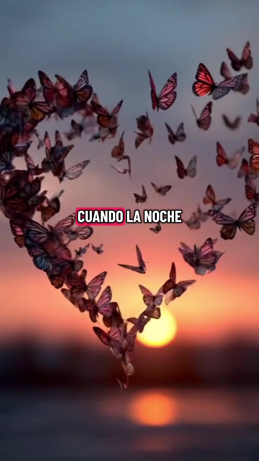 @🙌🏻🦋Sandra🙌🏻🦋