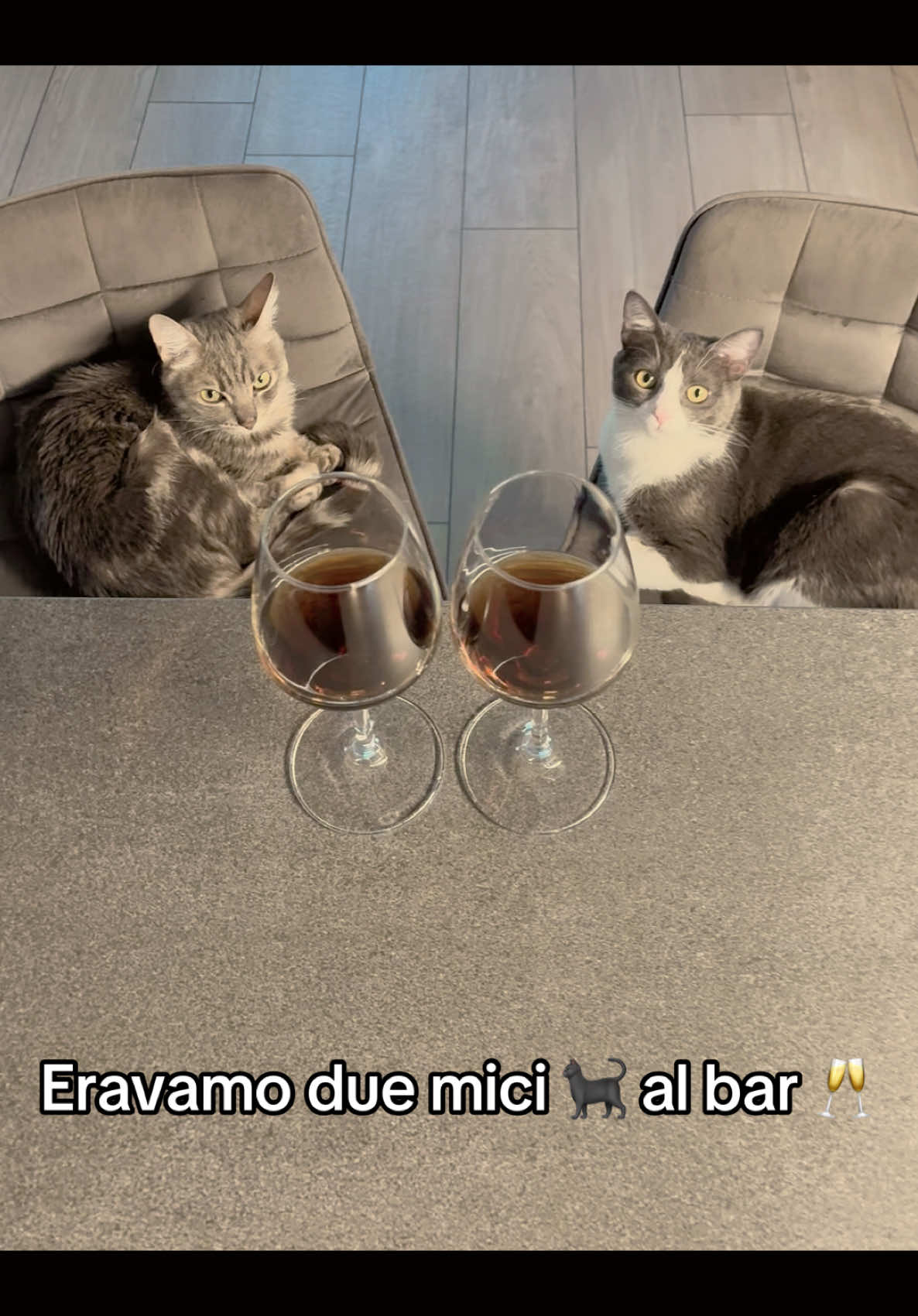 @Cippy & Romeo-a🤣