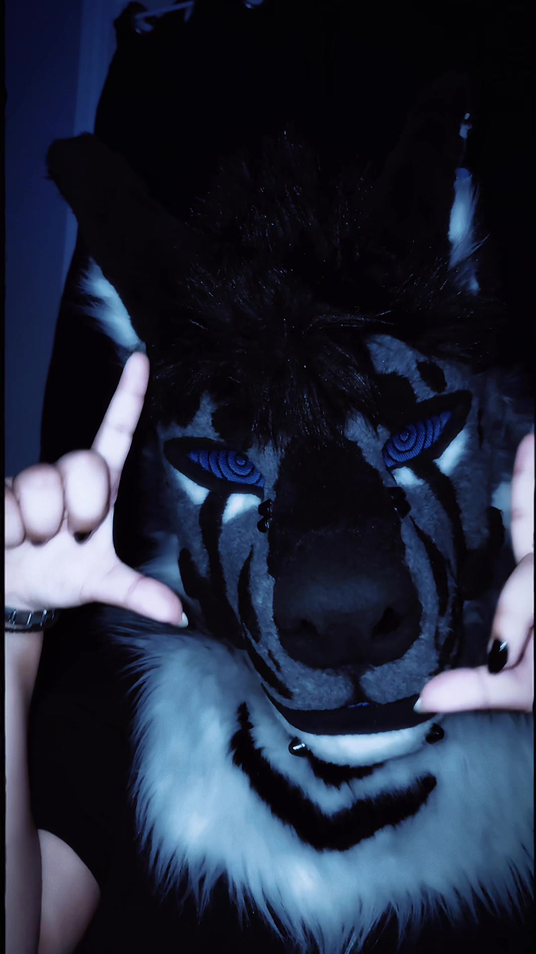 @sonar_hyena_shark