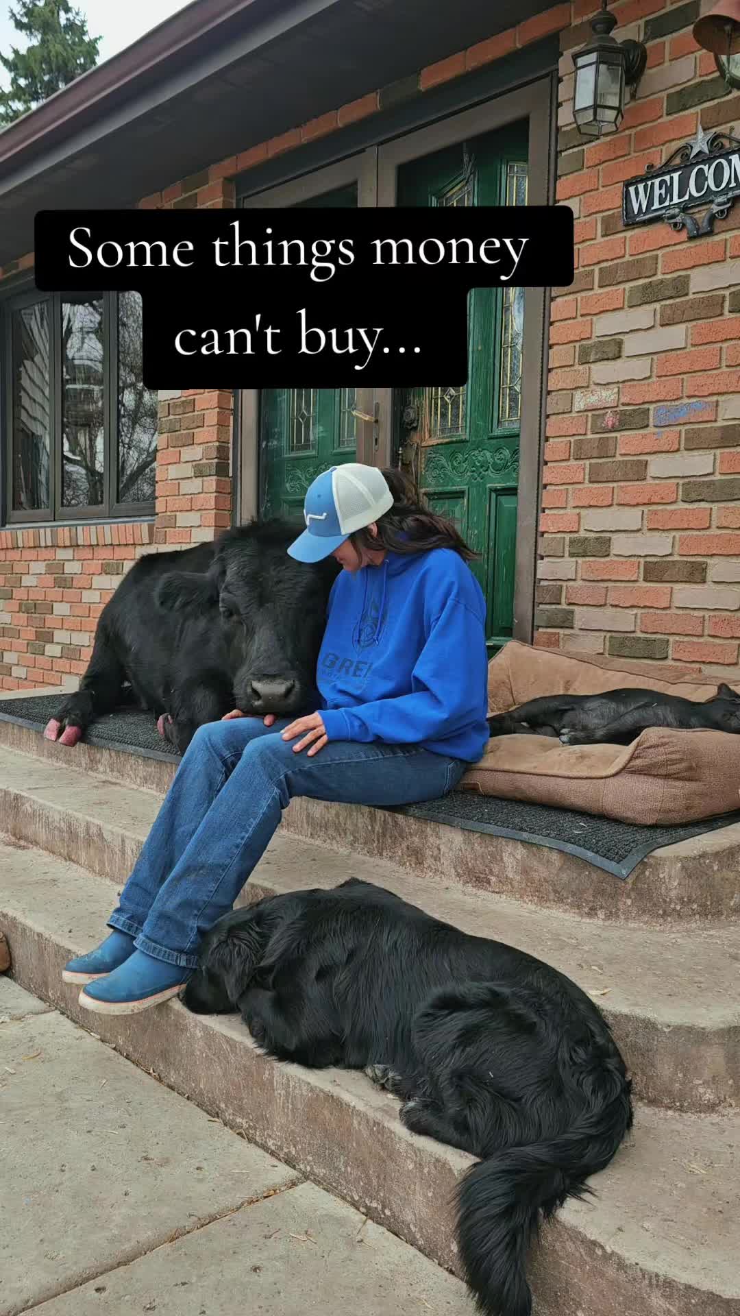 @Dakotafunnyfarm