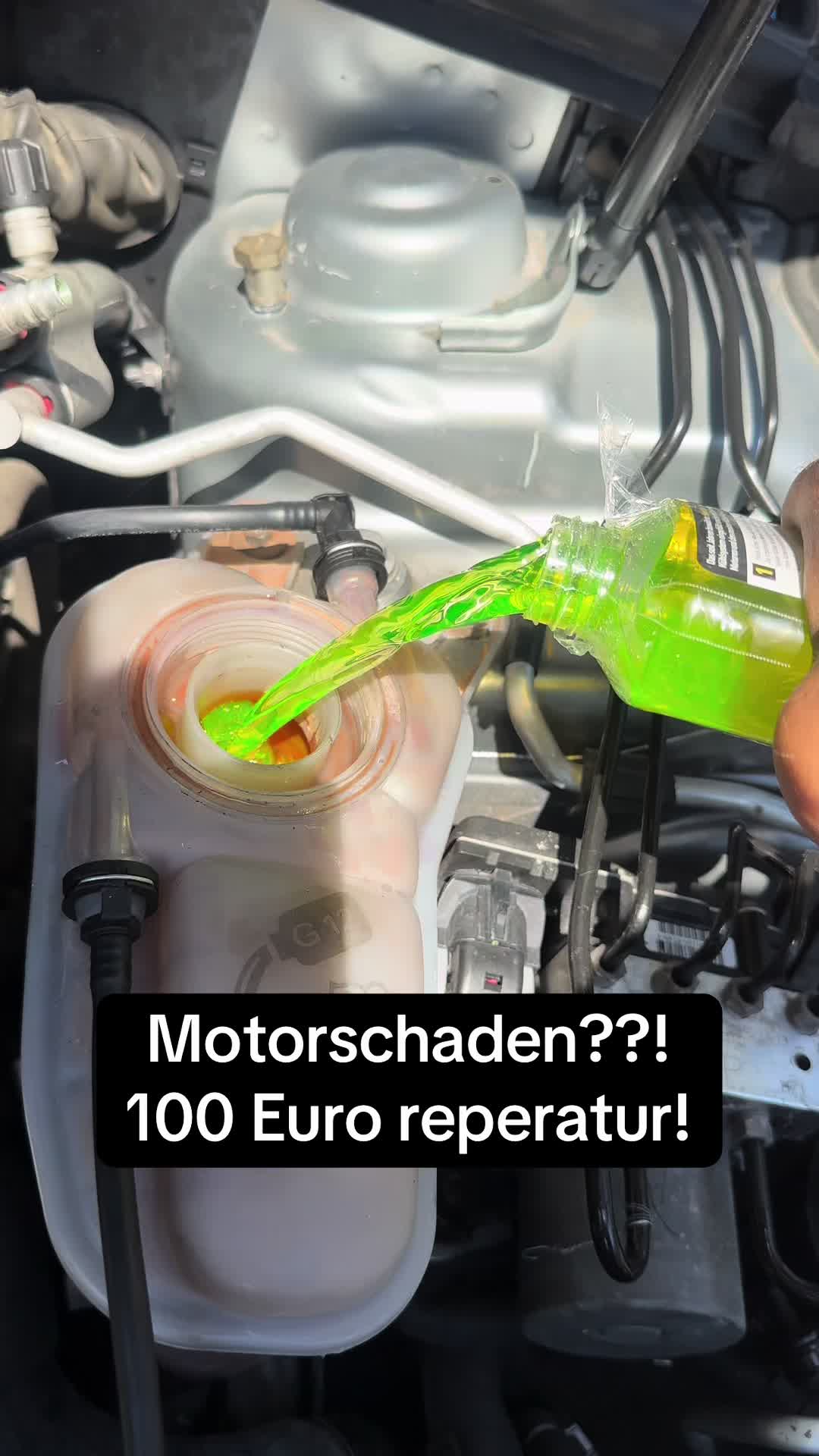 @GOLDENER_ADLER