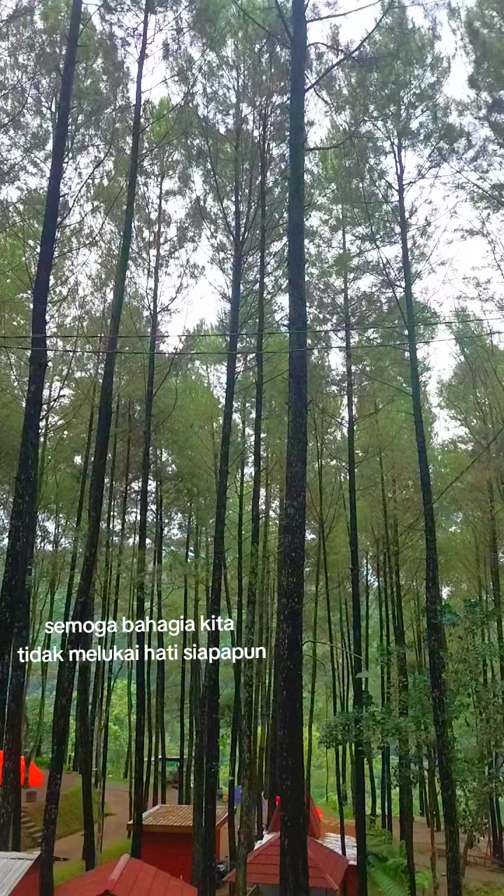 @indah_phinkan07 🦋