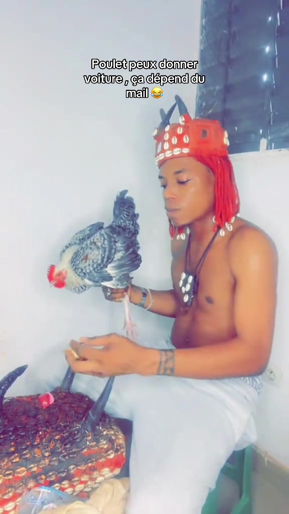 @Canari Fétiche ✪