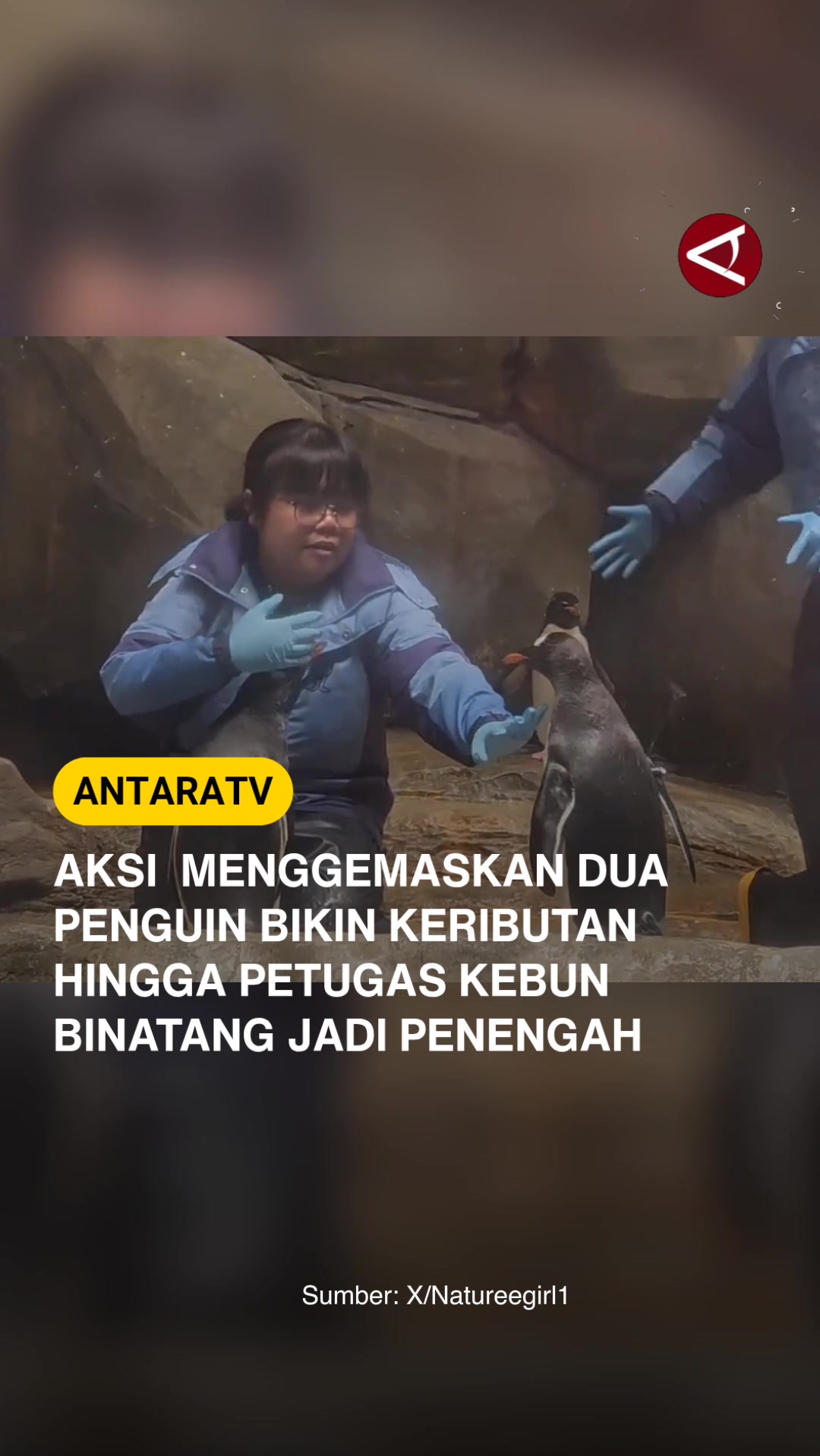 @Antara TV Indonesia