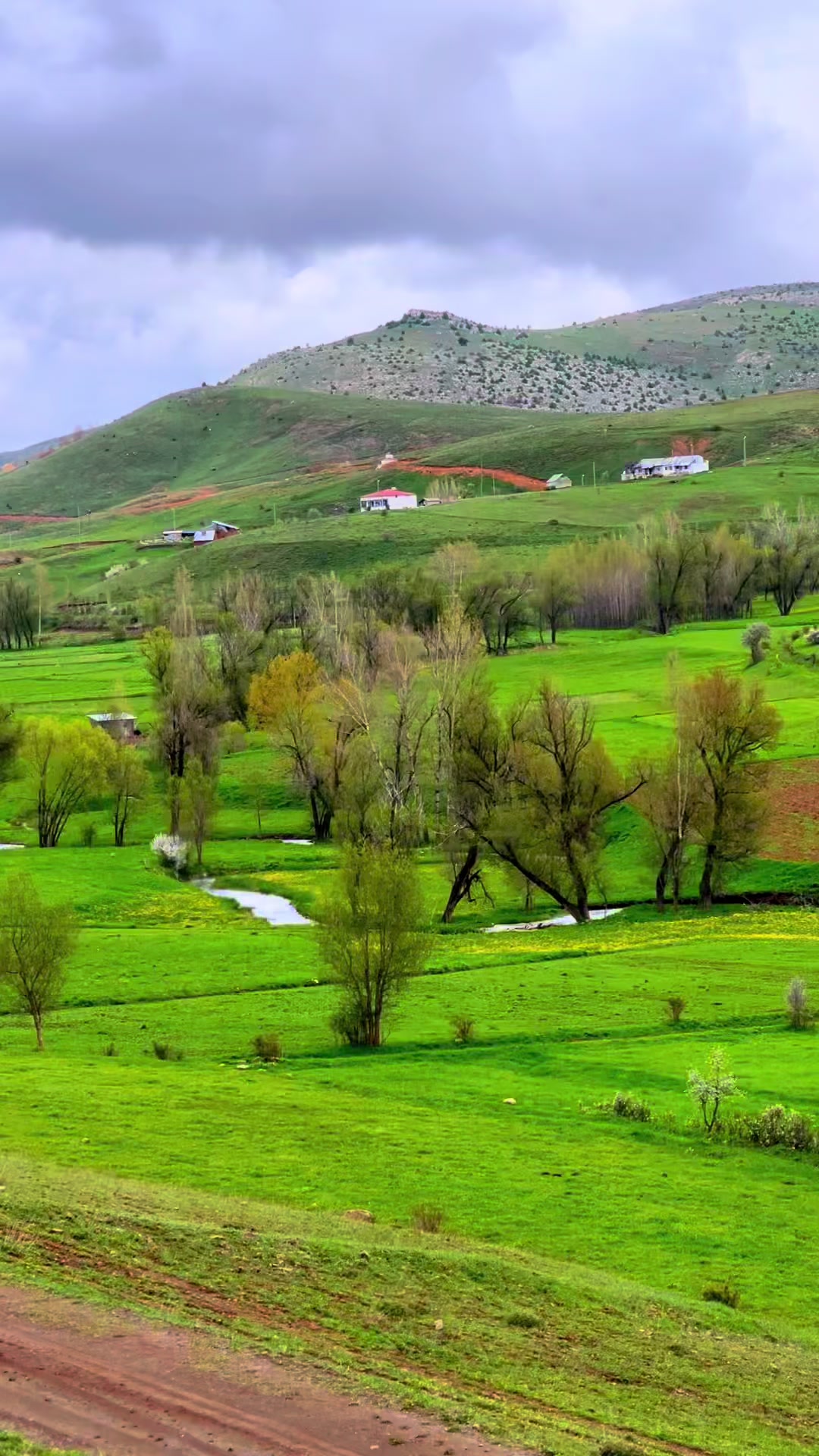 @Esra Ayyıldız 💐