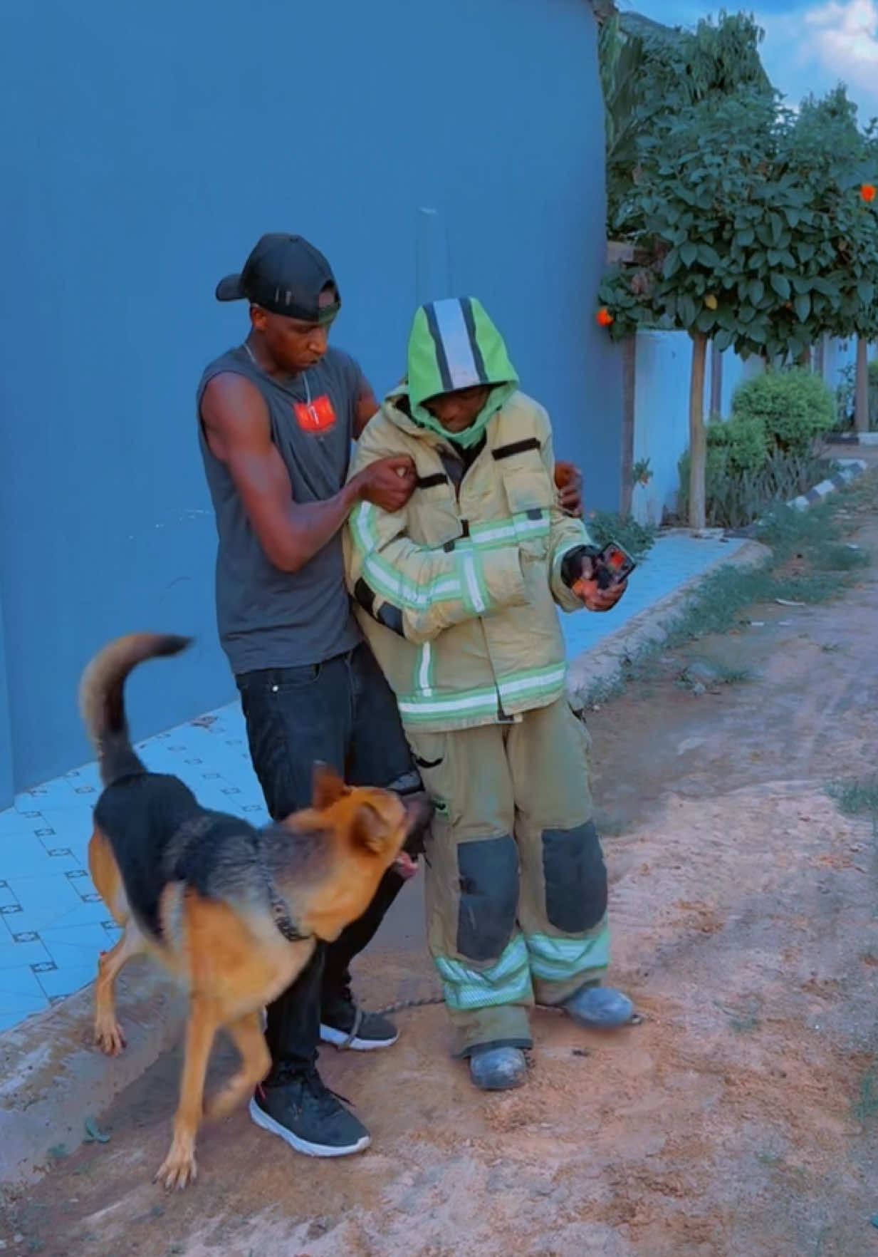 @Dog Master