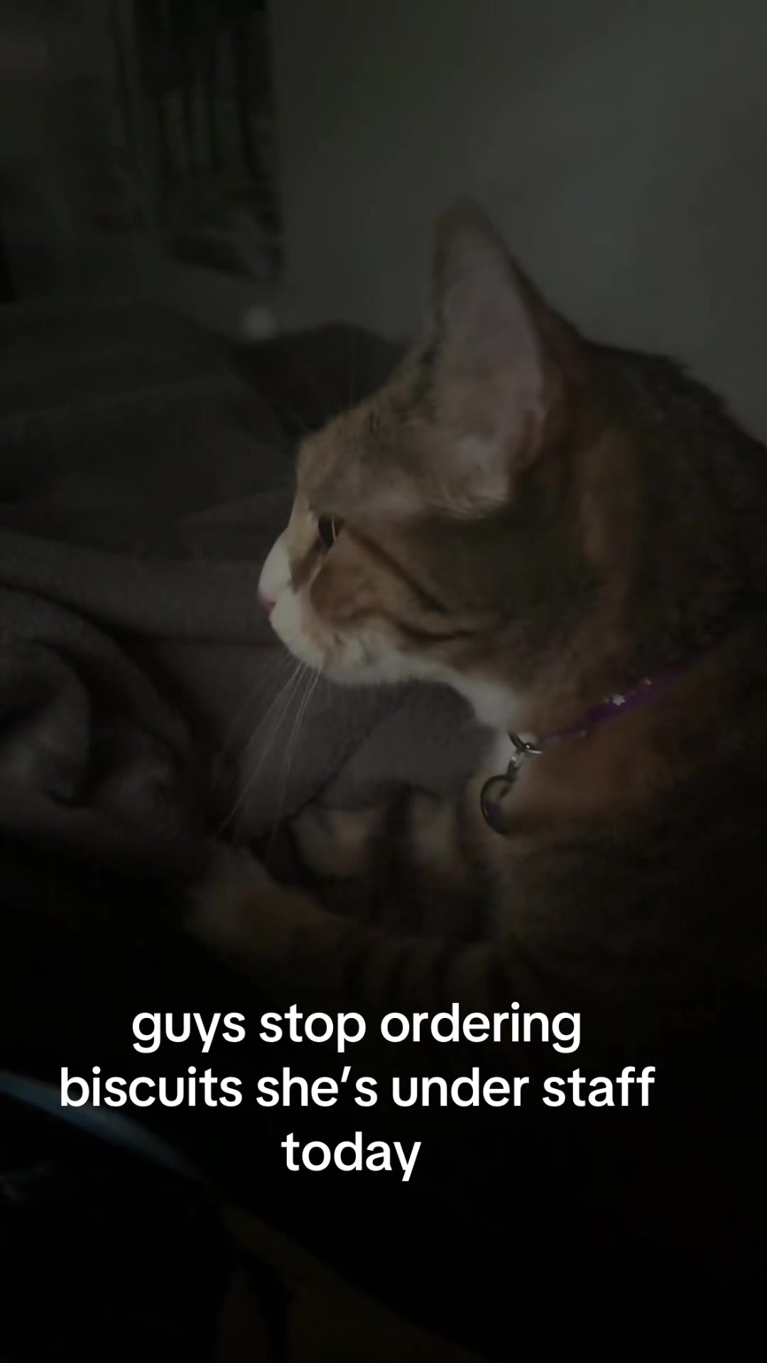 @𝑮𝑹𝑬𝑬𝑵𝑫𝑨𝒀𝑮𝑰𝑹𝑳