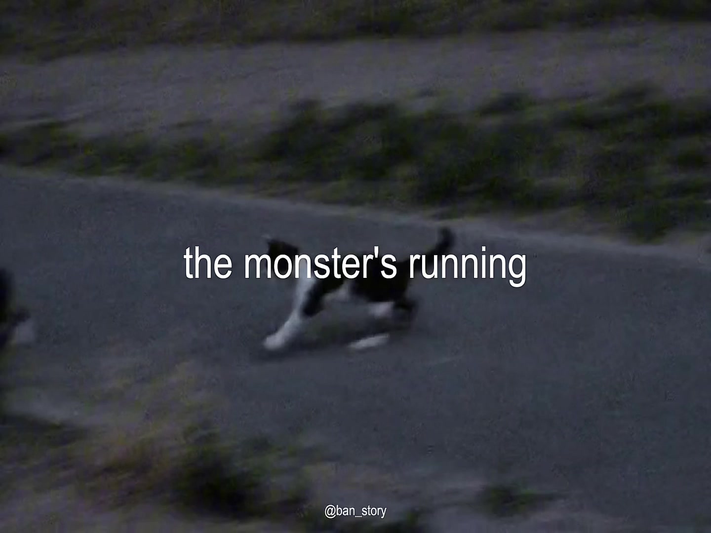 @🎧🎶
