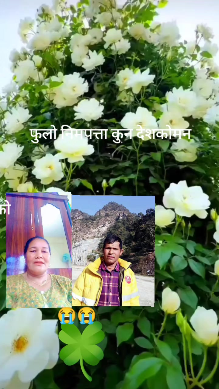 @Barshakumari Rasaili