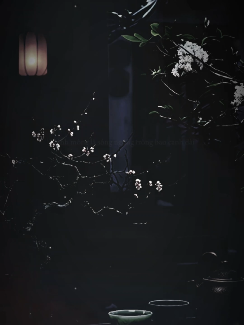 @𝐓𝐫ạ𝐦𝐌𝐮𝐬𝐢𝐜🎧