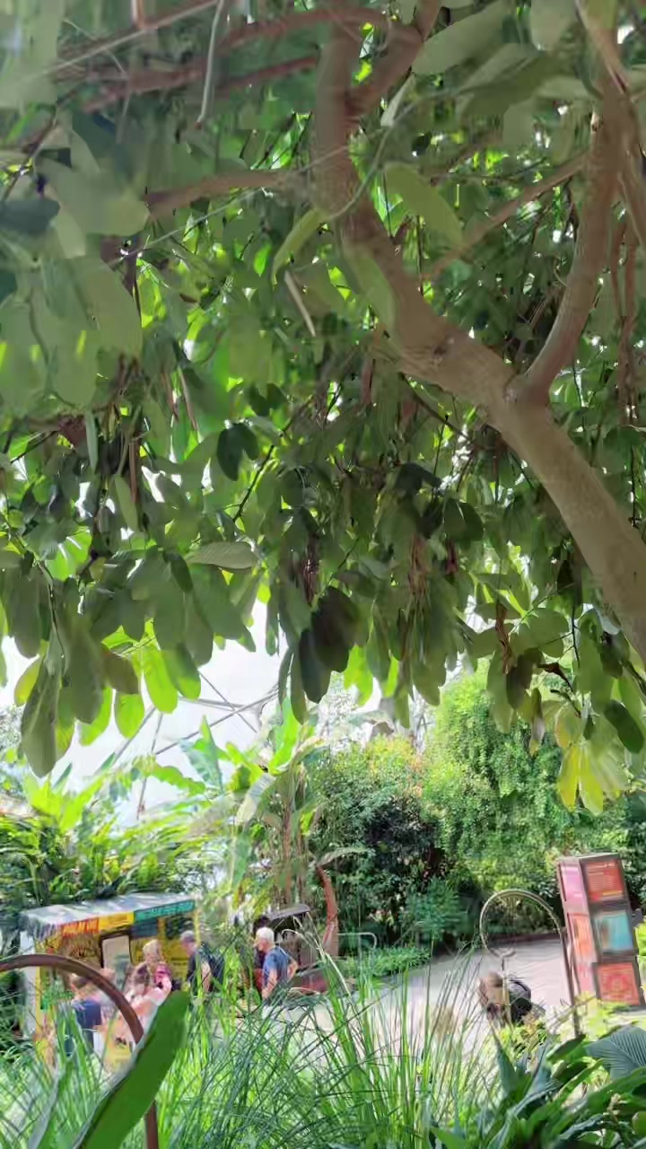 @Subukc🇳🇵🇵🇹🇬🇧