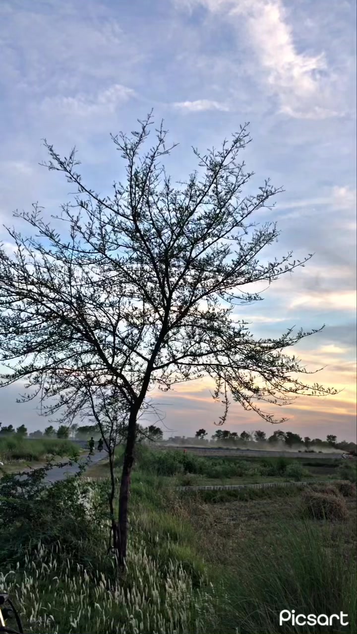 @گاندھی گروپ 🥷🏻🙌🏻