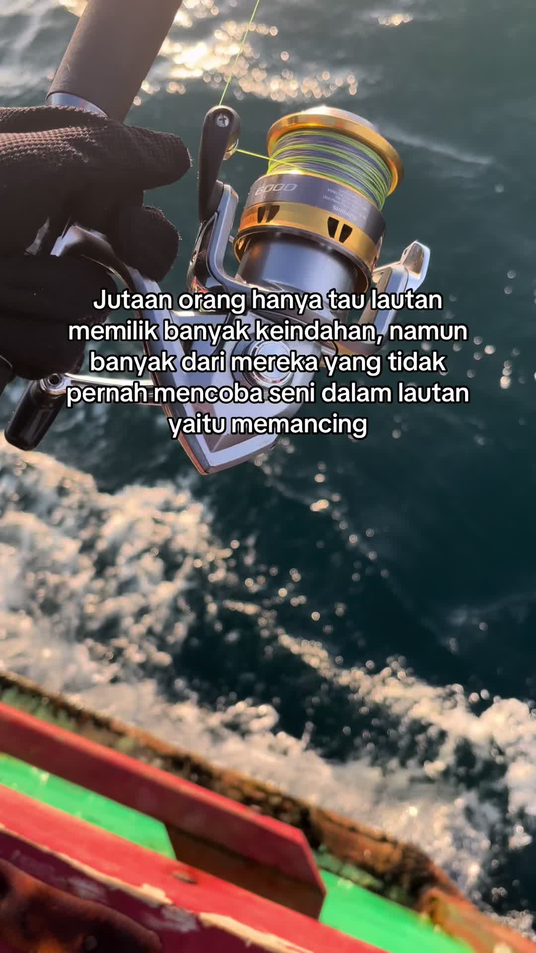 @oollzzzzzzzzz