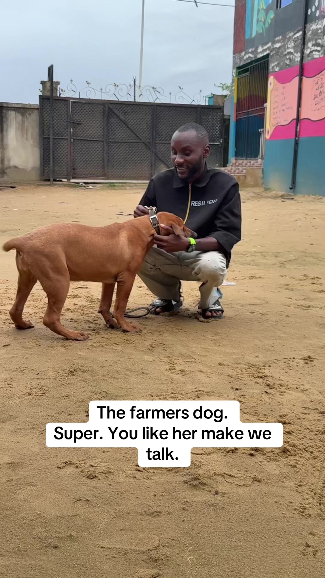 @Mothersheila_DogTv