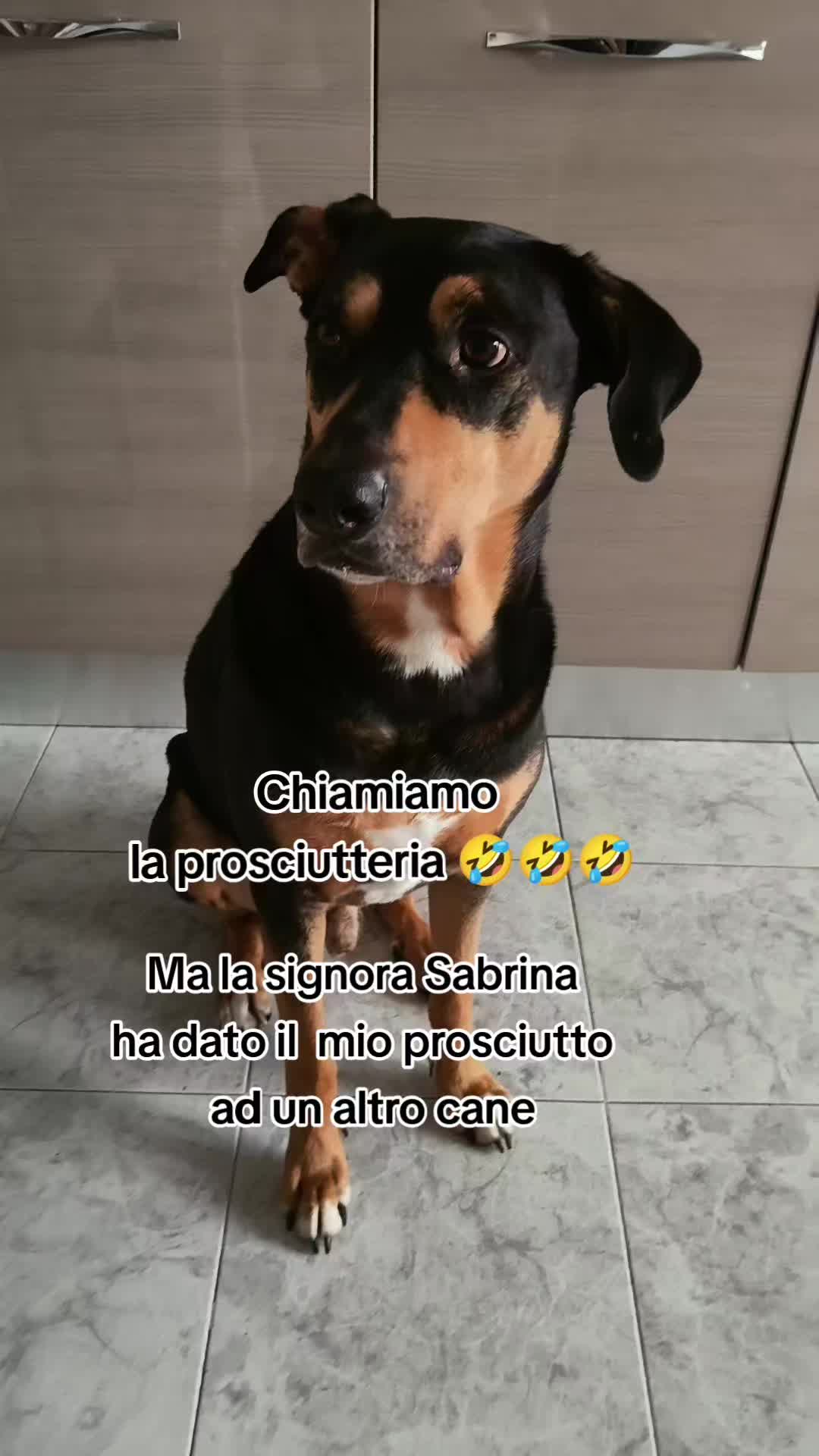 @.❤️🍭Ɍï𝓉𝖆🍭❤.🎧🧸