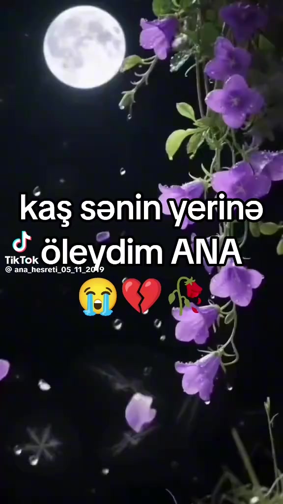 @Ramin Isgenderli
