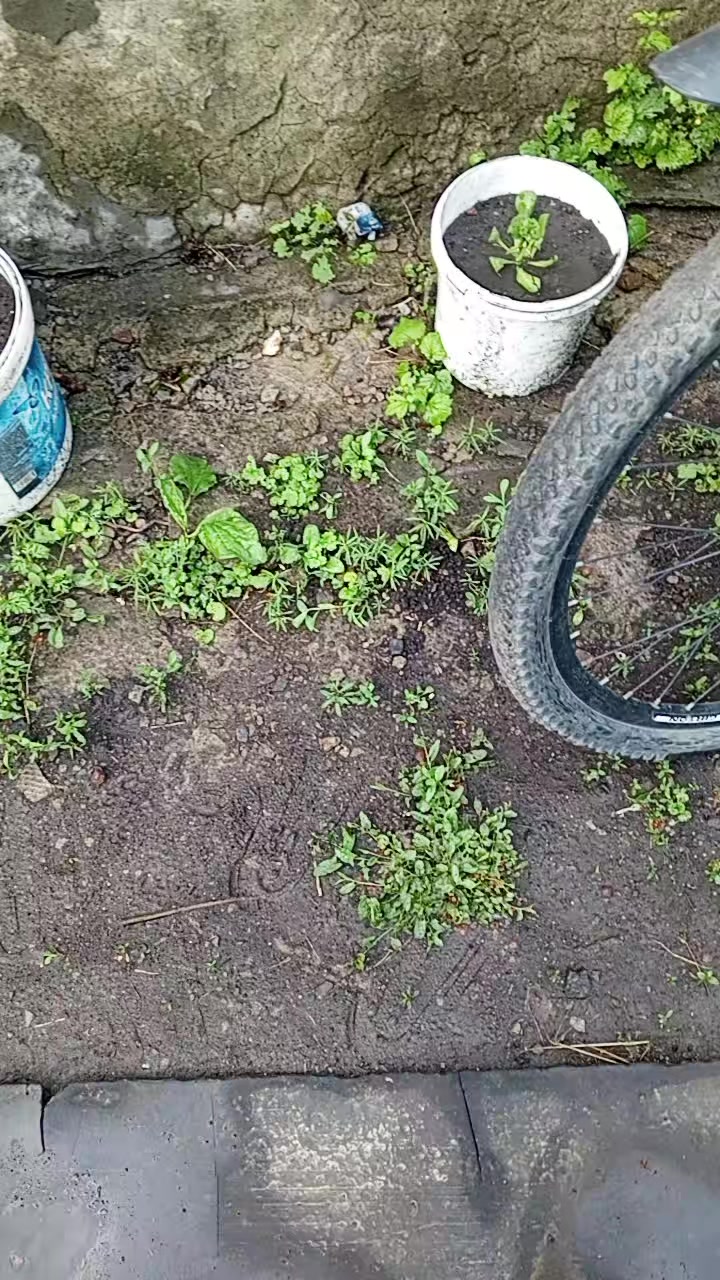 @метро спарта