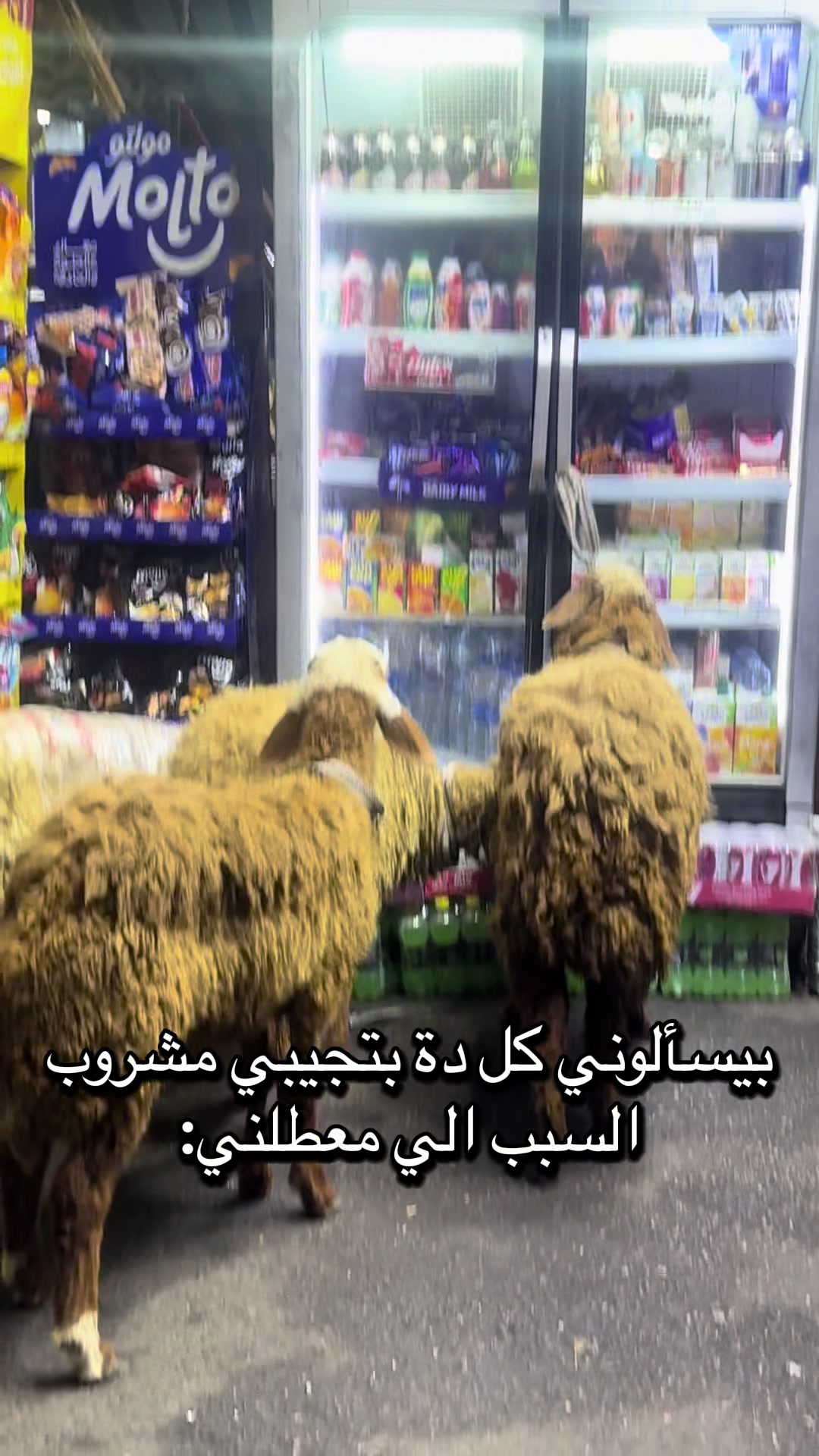 @Malak Mahran
