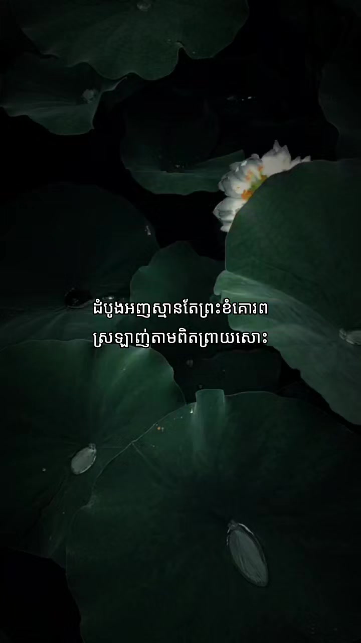 @xin.星