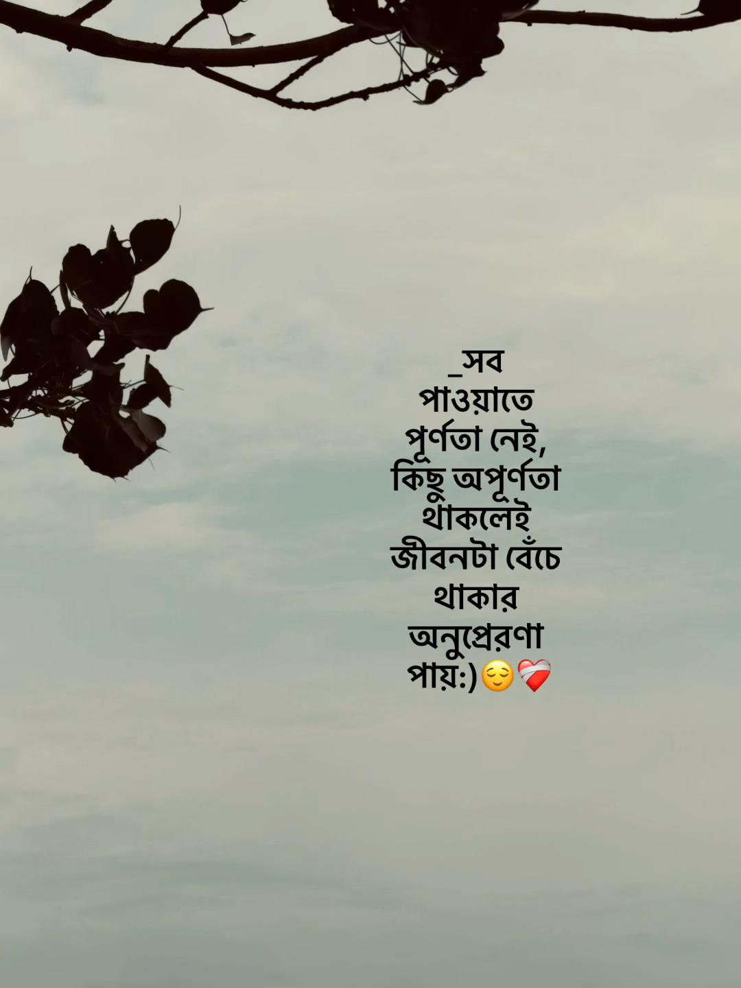 @Jahidul lslam 95